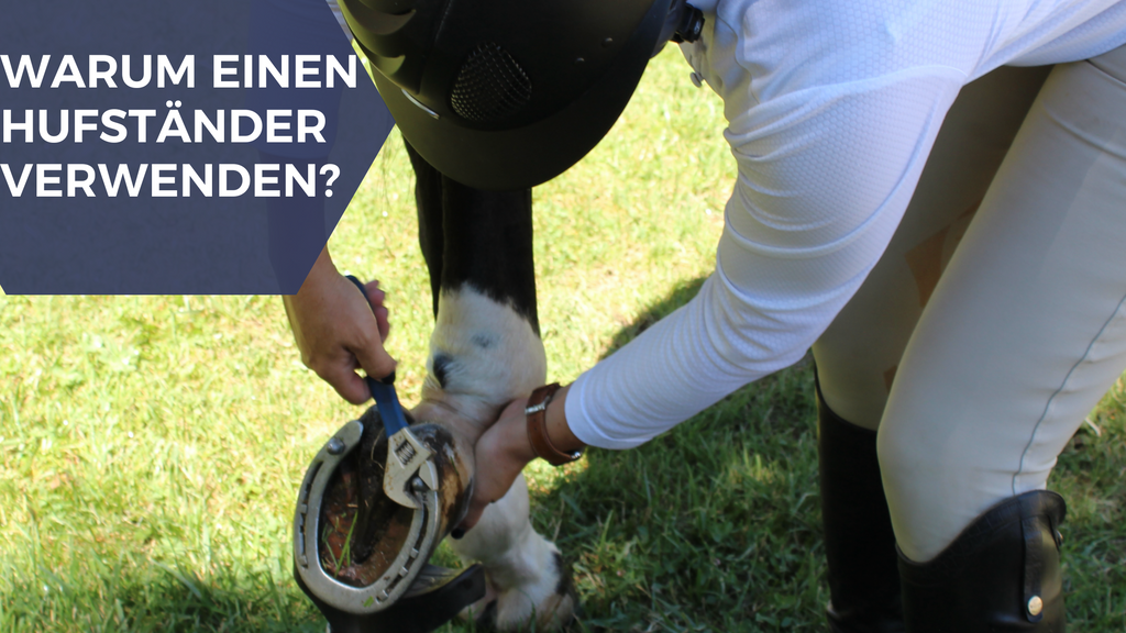 Warum einen Hufständer verwenden?